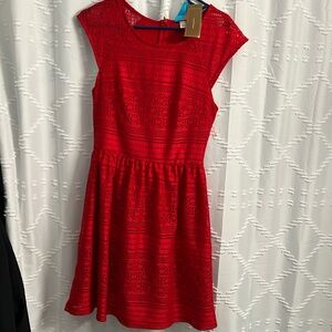 Francescas Res lace dress medium